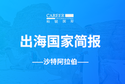 美狮贵宾会GO GLOBAL | 沙特阿拉伯国家简报